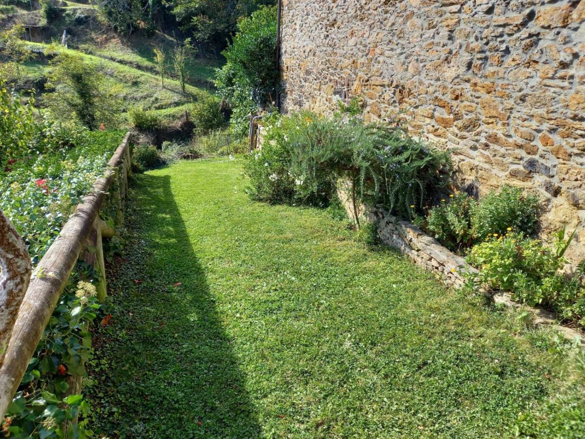 La Cabana'l Cachican Cangas De Narcea